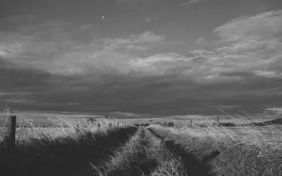 Fogata nocturna, ideal para historias de terror para contar en la oscuridad